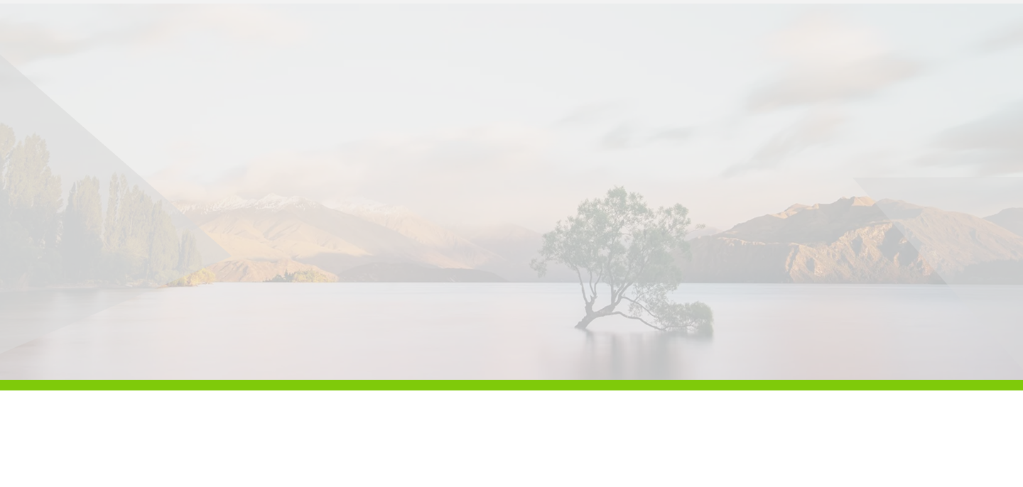 New Zealand lake landscape